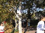 p1010123.jpg