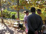 p1010126.jpg