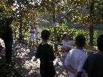 p1010127.jpg
