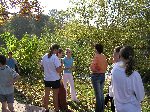 p1010130.jpg