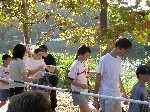 p1010204.jpg