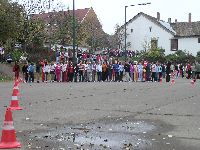 p1010052.jpg
