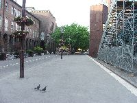 dscf3904.jpg
