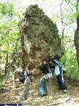 dscf3721.jpg