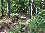 dscf3739.jpg