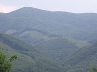 img_5511.jpg