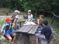 img_5519.jpg