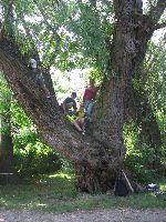 img_5531.jpg