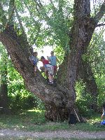 img_5534.jpg