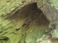 img_5546.jpg