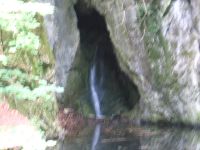 img_5557.jpg