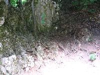 img_5558.jpg