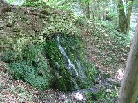 img_5559.jpg