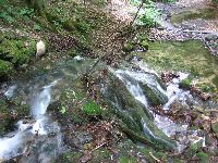 img_5564.jpg
