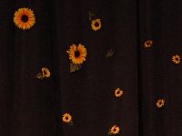 dscf3981.jpg
