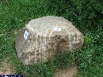 dscf0775.jpg