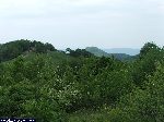 dscf0796.jpg