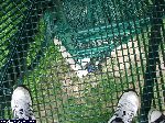 dscf0818.jpg