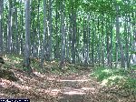 dscf0832.jpg