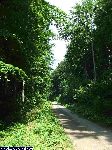 dscf0847.jpg