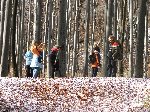 dscf4309.jpg
