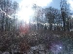dscf4318.jpg