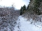 dscf4327.jpg