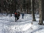 dscf4334.jpg