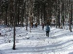 dscf4337.jpg