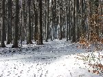 dscf4341.jpg