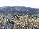 dscf4372.jpg