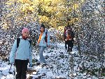 dscf4379.jpg