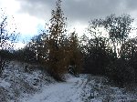 dscf4393.jpg