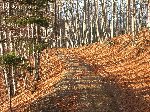 dscf4401.jpg