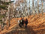 dscf4403.jpg
