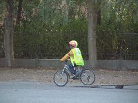 dscf0856.jpg