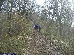 dscf3959.jpg
