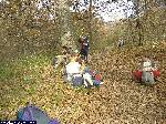 dscf3961.jpg