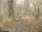 dscf3977.jpg