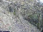 dscf4003.jpg