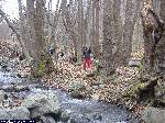 dscf5095.jpg