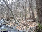 dscf5101.jpg