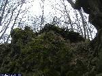dscf5151.jpg