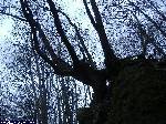 dscf5153.jpg