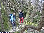 dscf5155.jpg