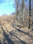 dscf5181.jpg
