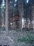 dscf5199.jpg