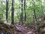 dscf3863.jpg