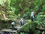 dscf3879.jpg