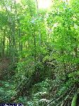 dscf3880.jpg